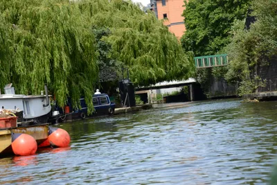 DSC_2755 (Large).JPG